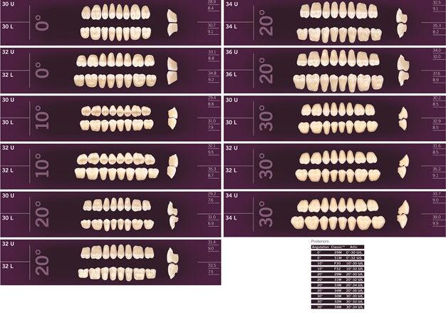 Zubi Artic a 8kom A1 10-30L - donji