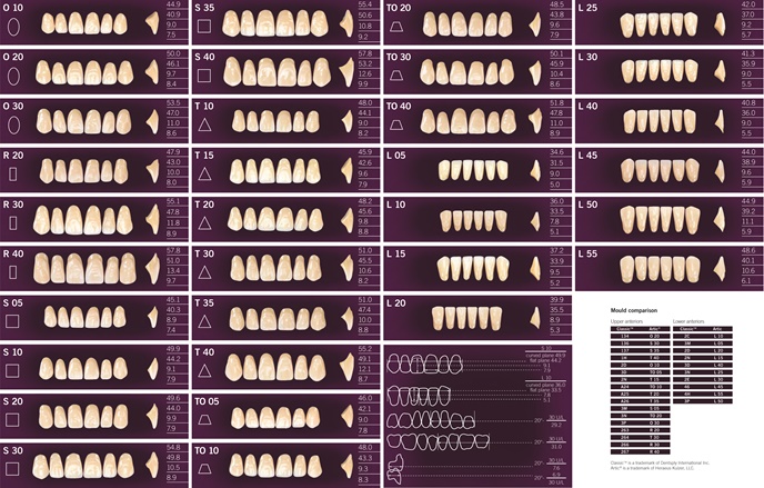 Zubi Artic a 6kom A1 L10 - donji