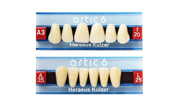 Zubi Artic a 6kom A1 L50 - donji