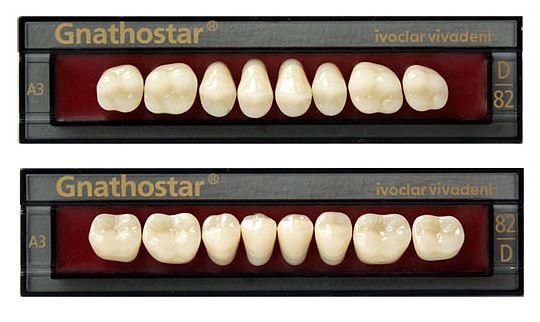 Zubi Gnathostar a 8kom 1D D84 - donji