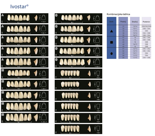 Zubi Ivostar a 6kom 01 11 - donji
