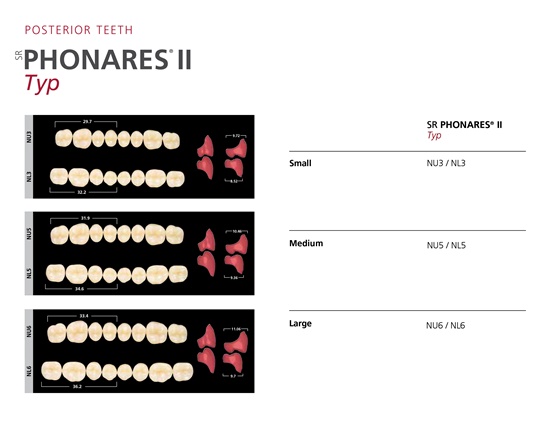 Zubi SR Phonares II a 8 kom typ NHC A1 NL3 - donji